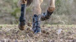 LeMieux Turnout Boots -Horse Supplies Store 18244d