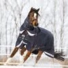LeMieux Kudos Turnout Rug - 200g -Horse Supplies Store 18250