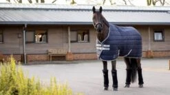 LeMieux Arika Stable-Tek - 200g -Horse Supplies Store 18251c