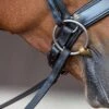 Fairfax Jowl Strap - For Crank Noseband 1 Fairfax Jowl Strap - For Crank Noseband -Horse Supplies Store 245
