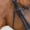 Fairfax Throatlash - 3/8" For Double Bridle 2 Fairfax Throatlash - 3/8" For Double Bridle -Horse Supplies Store 246