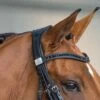 Fairfax Headpiece - Double Bridle -Horse Supplies Store 247