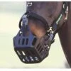 Shires Greenguard Muzzle -Horse Supplies Store 2663