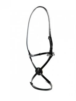 Dever High Ring Grackle (Mexican)