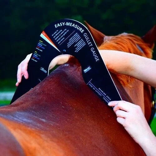 Easy-Change Gullet Gauge 4 Easy-Change Gullet Gauge - Image 2