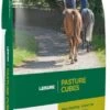 D&H Pasture Cubes -Horse Supplies Store 5257