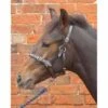 Leather Foal Head Collar -Horse Supplies Store 5720