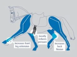 Prolite Girth Short -Horse Supplies Store 5948c