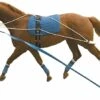Kincade Lunging Training System -Horse Supplies Store 645