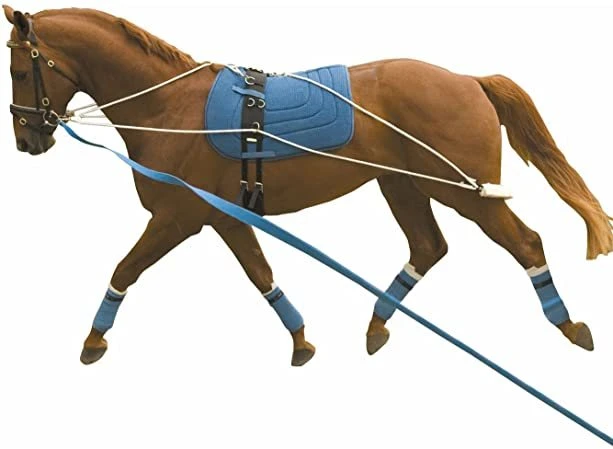 Kincade Lunging Training System 3 Kincade Lunging Training System