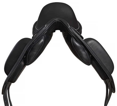 Fairfax Performance Stella Dressage 6 Fairfax Performance Stella Dressage - Image 4