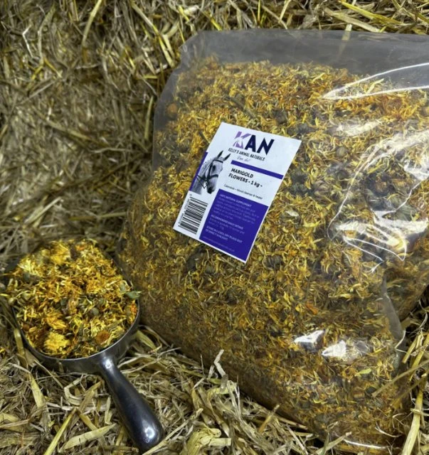 Natraliving Horse Marigold Flowers 3 Natraliving Horse Marigold Flowers