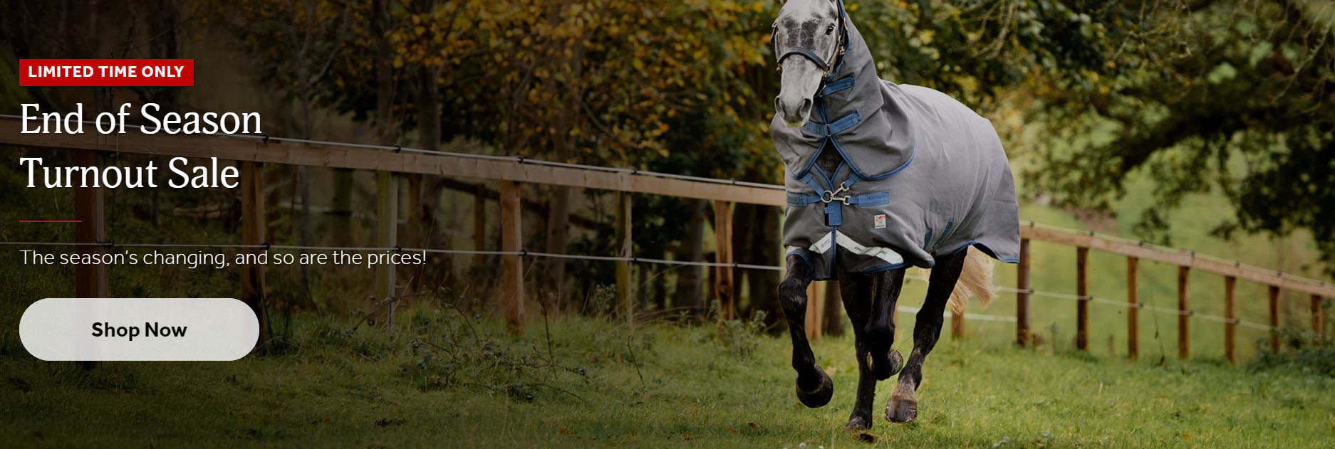 Horse Supplies Store -Horse Supplies Store gjghj